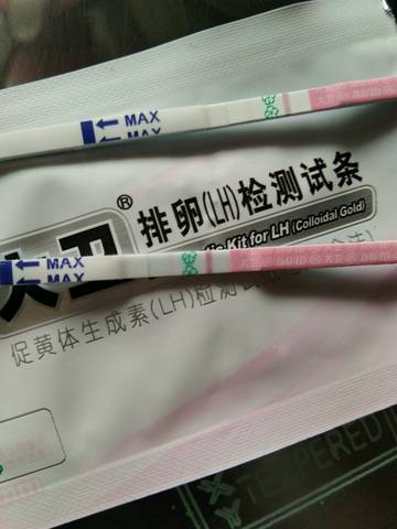journal_insert_pic_927112439