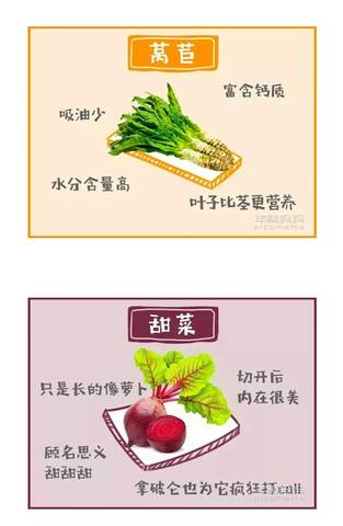 journal_insert_pic_927116438