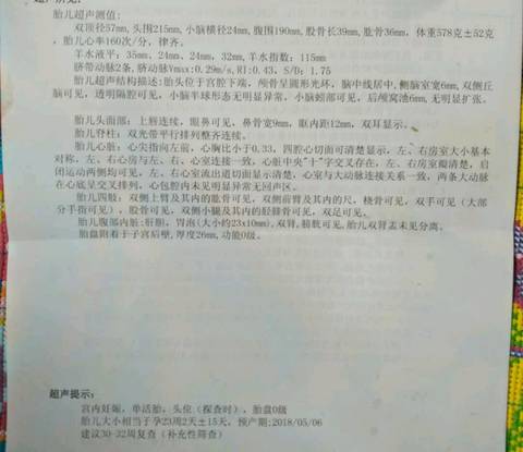 journal_insert_pic_927924554