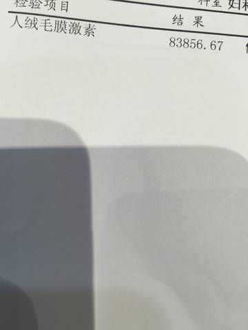 journal_insert_pic_928616204