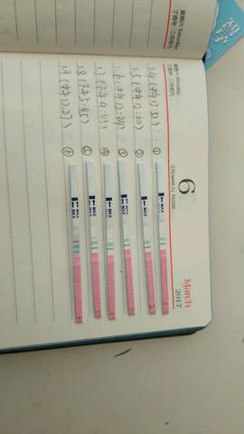 journal_insert_pic_928731130