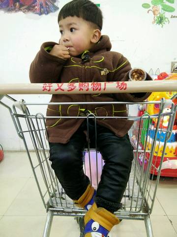 journal_insert_pic_929434237