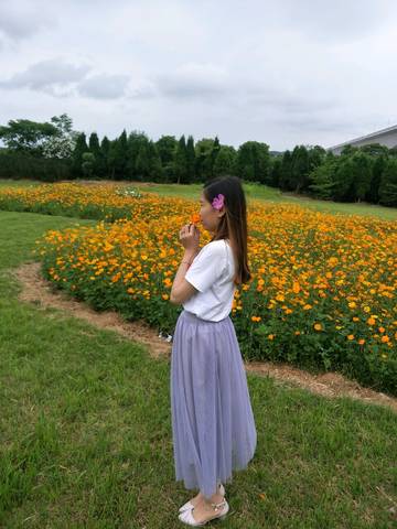 journal_insert_pic_929424025