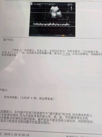 journal_insert_pic_929024394