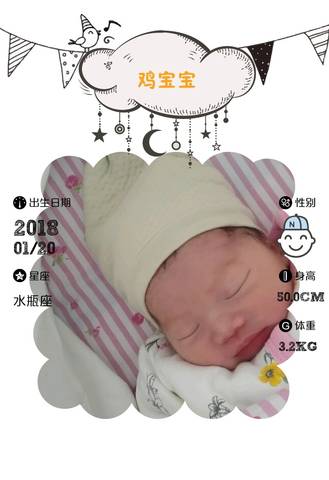 journal_insert_pic_929163766