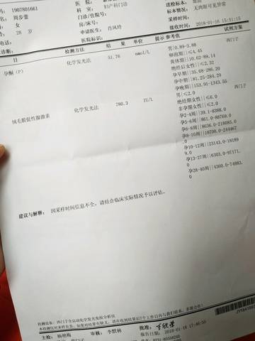 journal_insert_pic_929058412