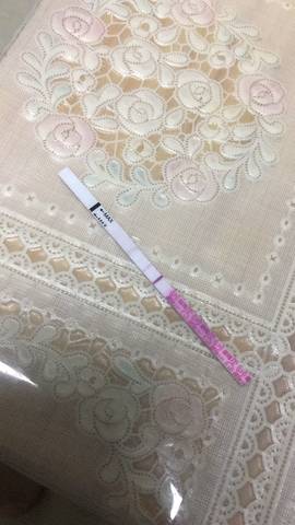 journal_insert_pic_929987226