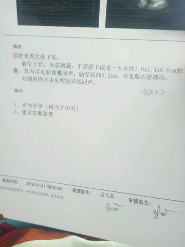 journal_insert_pic_930352587