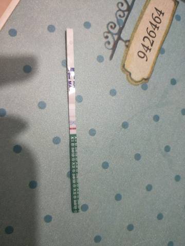 journal_insert_pic_930400538