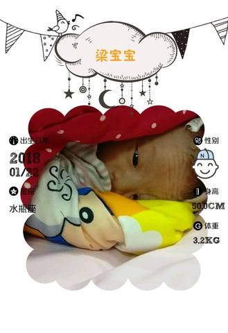 journal_insert_pic_930691521