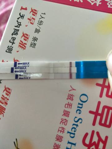 journal_insert_pic_930545238