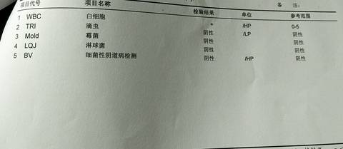 journal_insert_pic_931046075