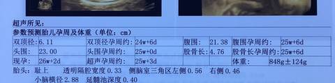 journal_insert_pic_931271241
