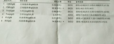 journal_insert_pic_931046030