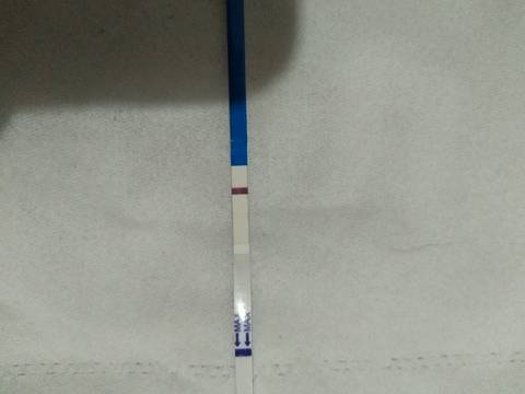 journal_insert_pic_931608973