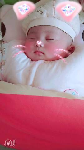 journal_insert_pic_931750657