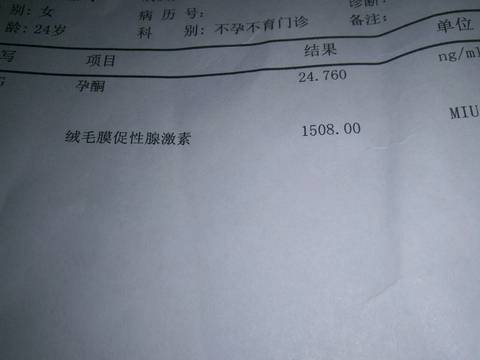 journal_insert_pic_931753355