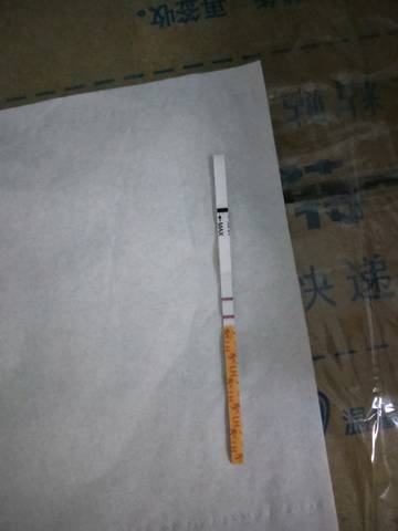 journal_insert_pic_933925635