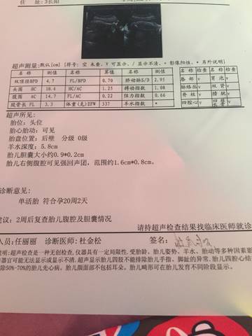 journal_insert_pic_933627166