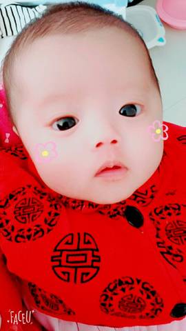 journal_insert_pic_933435649