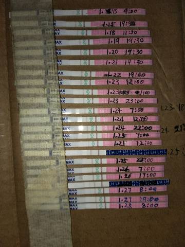 journal_insert_pic_934394991