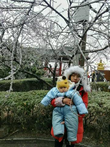 journal_insert_pic_934457354