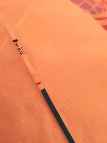 journal_insert_pic_935379530