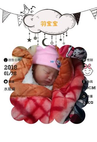 journal_insert_pic_935791121