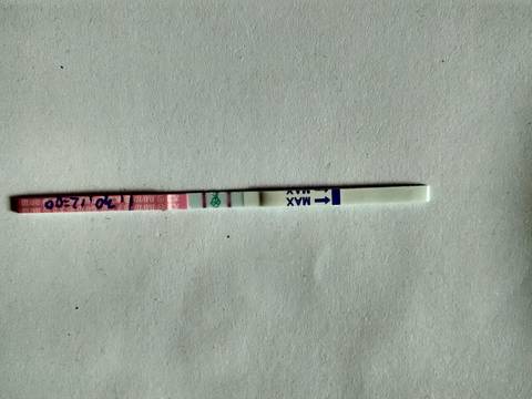 journal_insert_pic_935545129