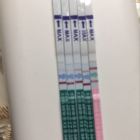 journal_insert_pic_935991037