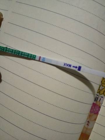 journal_insert_pic_936462213