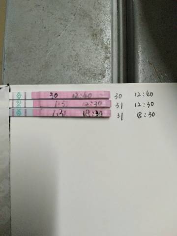journal_insert_pic_936347013