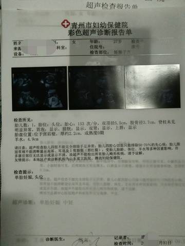 journal_insert_pic_936323374