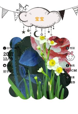 journal_insert_pic_936925662