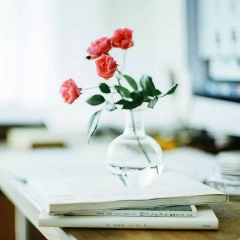 journal_insert_pic_936662596