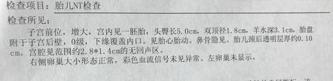 journal_insert_pic_936727235