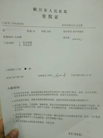 journal_insert_pic_937328842