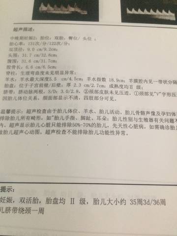 journal_insert_pic_937264181