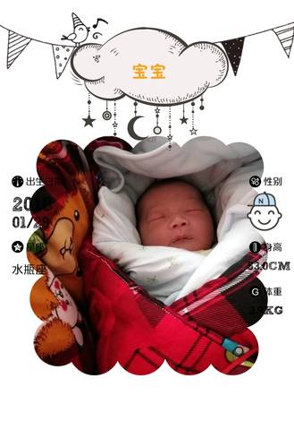 journal_insert_pic_939435296