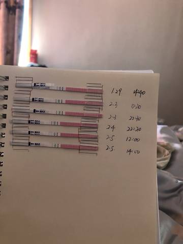 journal_insert_pic_939254058