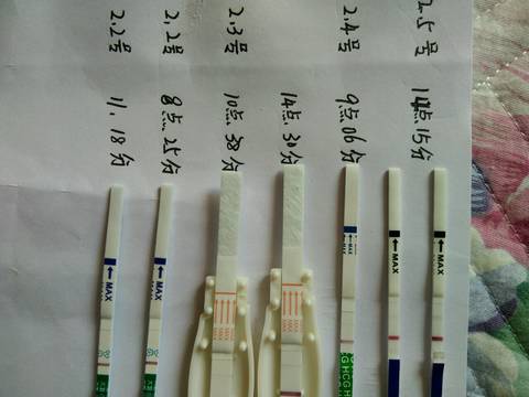 journal_insert_pic_939361290