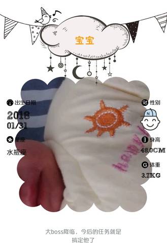 journal_insert_pic_939770344