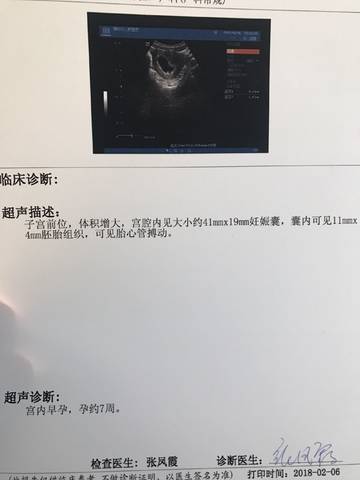 journal_insert_pic_939804965