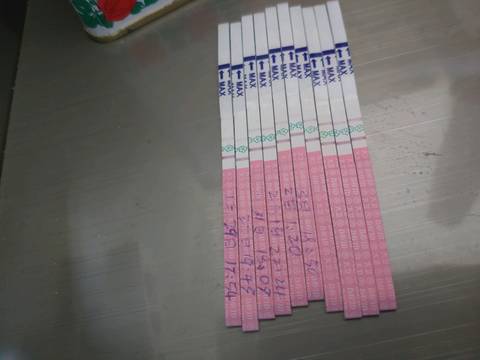 journal_insert_pic_939930308