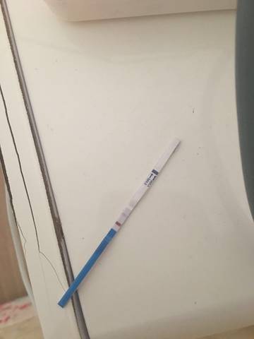 journal_insert_pic_939583503