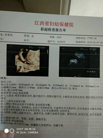 journal_insert_pic_940369152