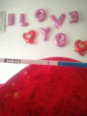 journal_insert_pic_940400898