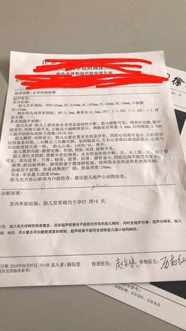 journal_insert_pic_940637416