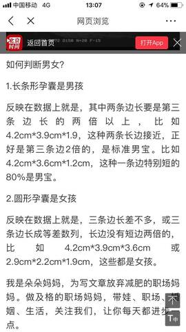 journal_insert_pic_940100885