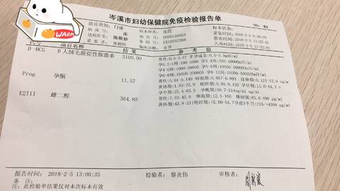 journal_insert_pic_940383034